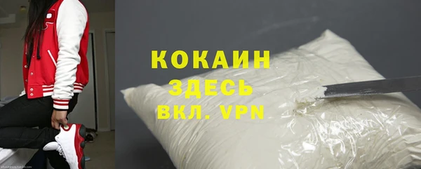 шишки Армянск