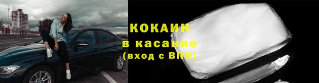шишки Армянск
