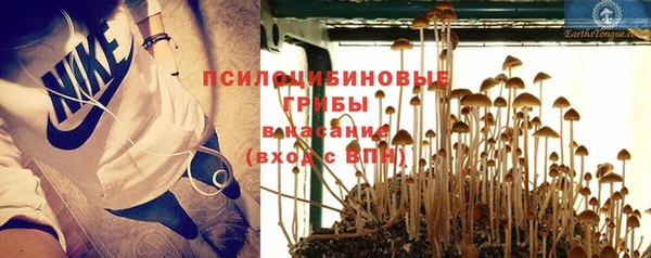 шишки Армянск