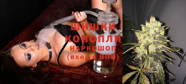 шишки Армянск