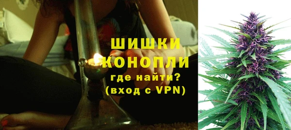 шишки Армянск