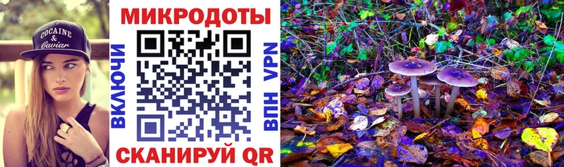 МЕГА зеркало  Ртищево  Псилоцибиновые грибы Psilocybe  хочу  